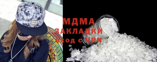 индика Гусь-Хрустальный