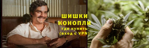 индика Гусь-Хрустальный