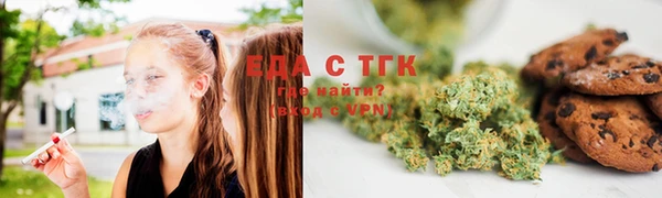 индика Гусь-Хрустальный