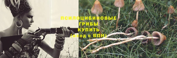 мяу мяу кристалл Горно-Алтайск